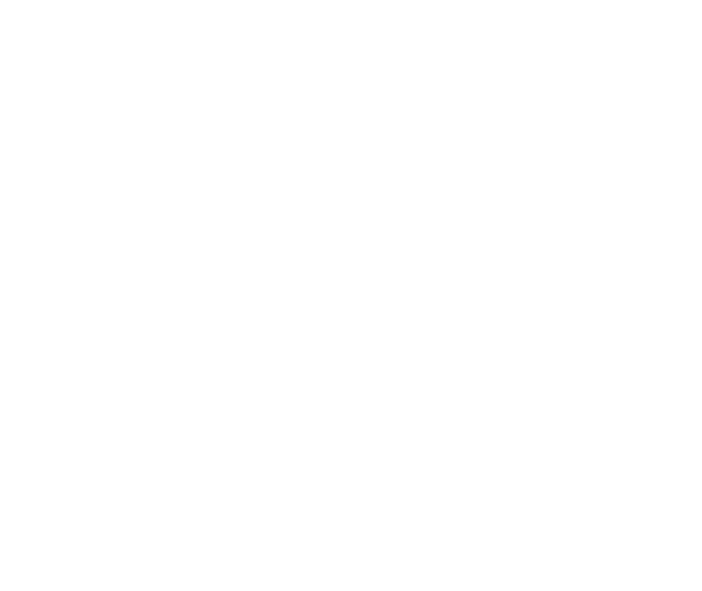 Esquema de Fees